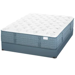 Aireloom Etude Extra Firm Mattress