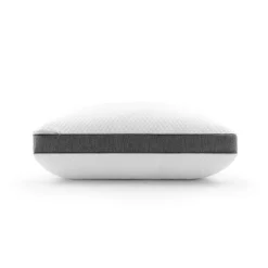 Beautyrest Absolute Relaxation Pillow