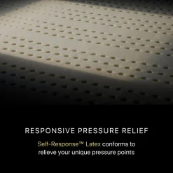 Beautyrest Black Series Four Medium Pillow Top Mattress