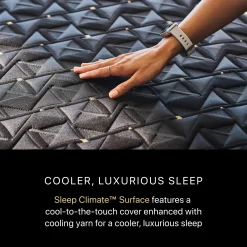 Beautyrest Black Series Four Firm Apex Top Hybrid Mattress