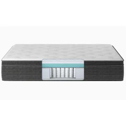 Beautyrest Elements® Chesapeake Plush Pillow Top Mattress