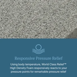 Beautyrest World Class Dreamwell Belmont Extra Firm Mattress