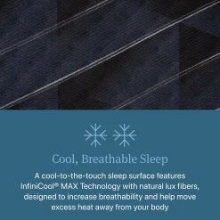 Beautyrest World Class Dreamwell Belmont Plush Mattress