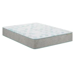 BeautySleep Behold Firm Mattress