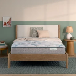 BeautySleep Dream Weaver Medium Euro Top Mattress