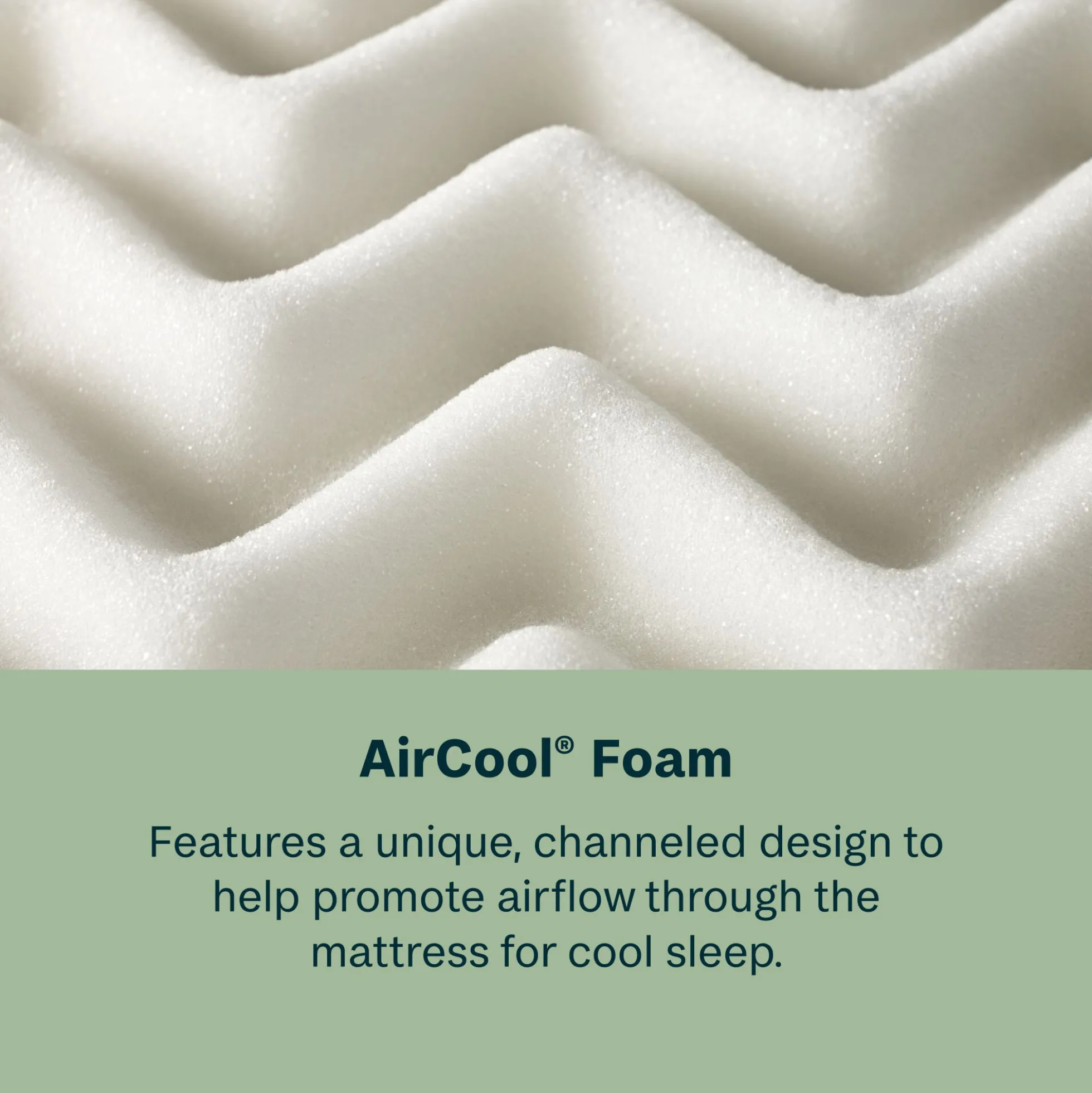BeautySleep Dream Weaver 11.5" Firm Mattress