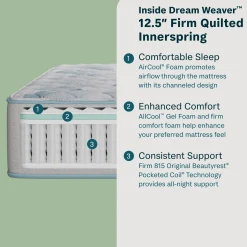 BeautySleep Dream Weaver 12.5" Firm Mattress