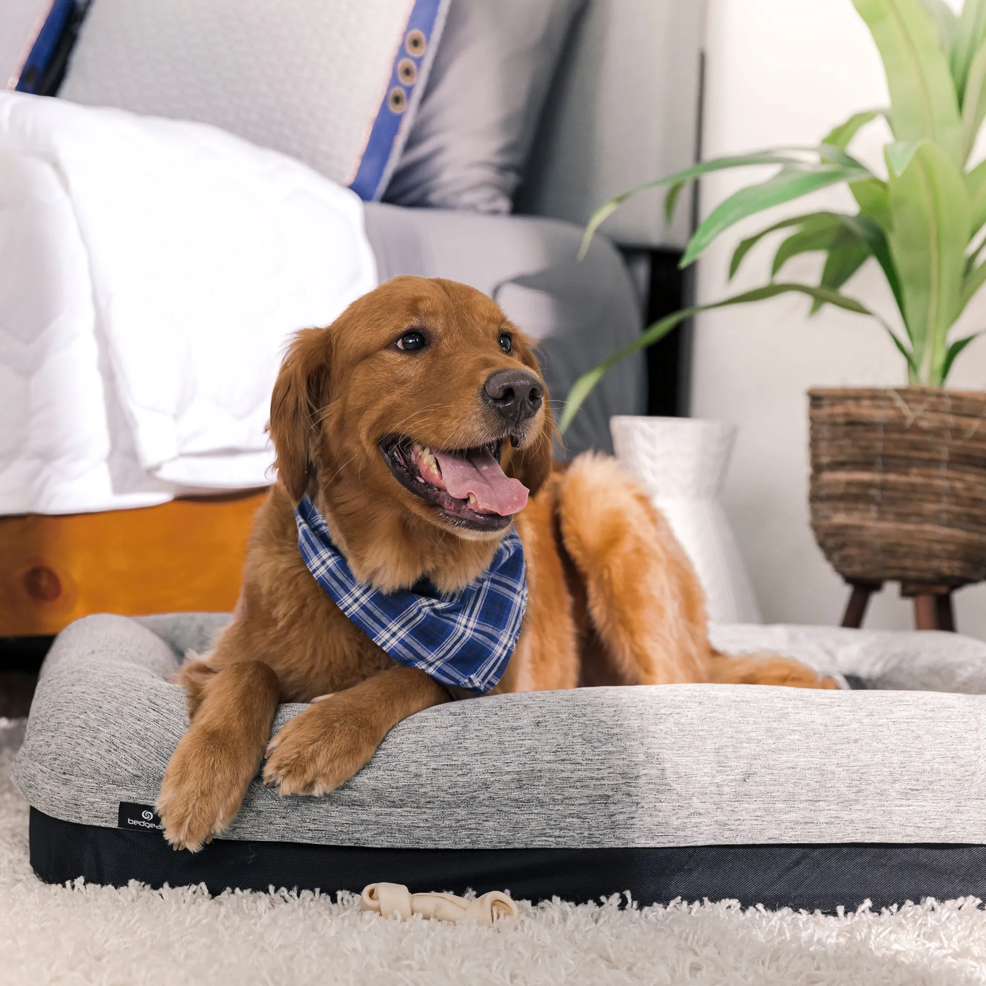 BEDGEAR Performance Dog Bed
