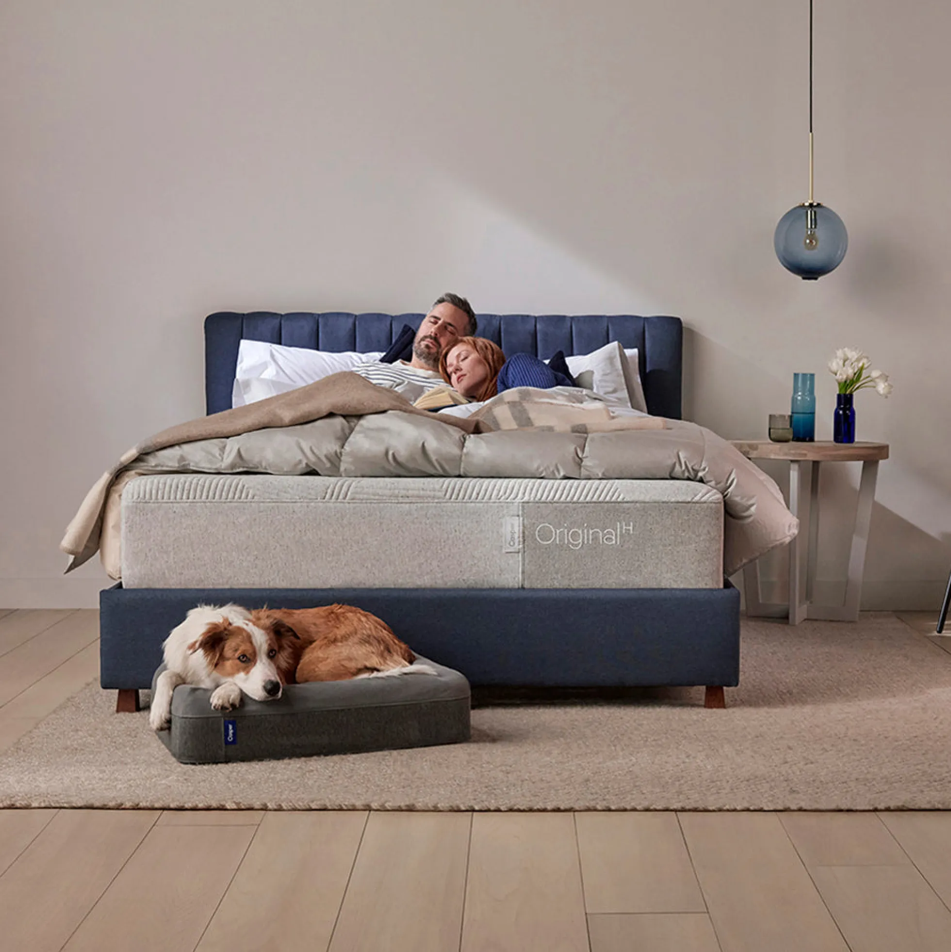 Casper Dog Bed