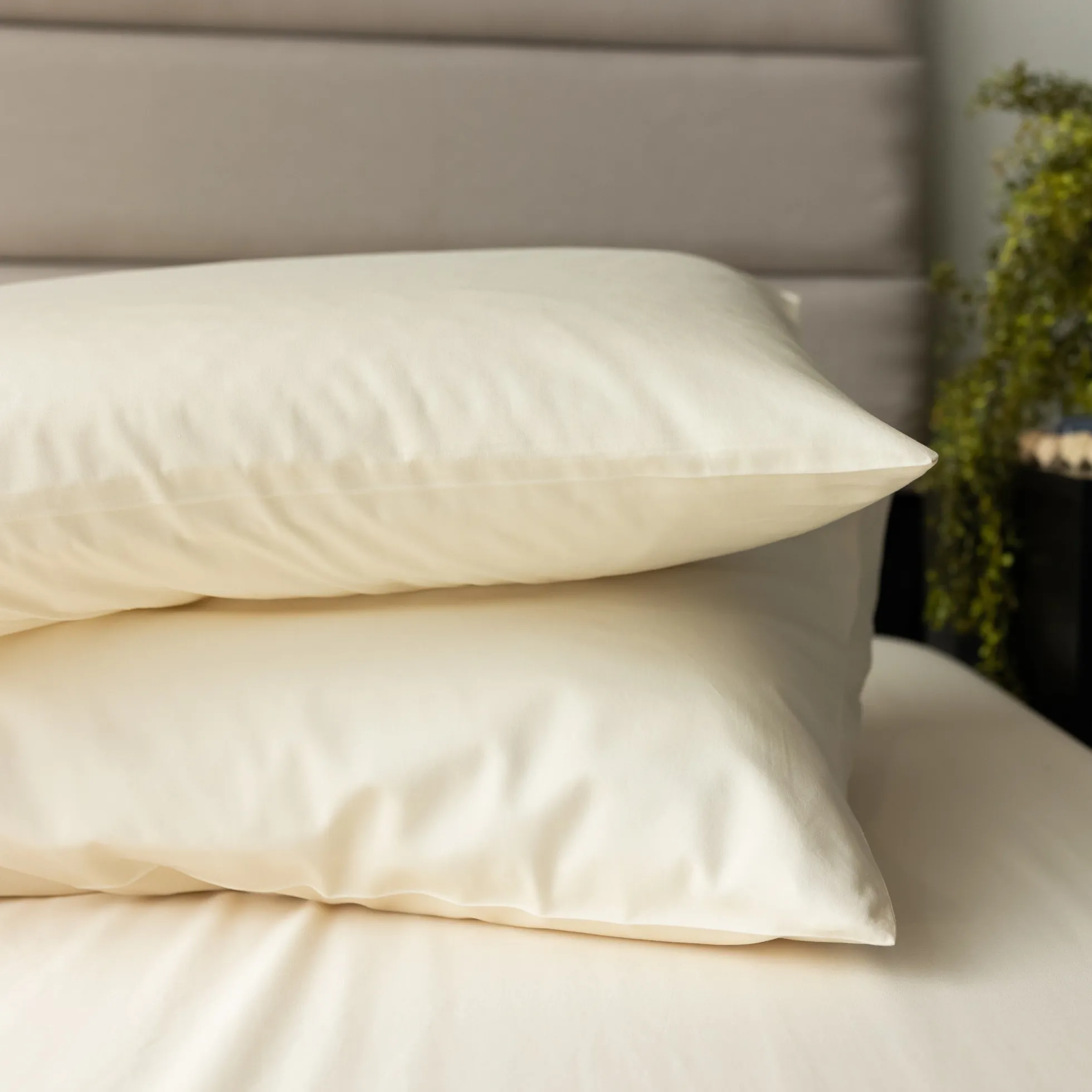 DreamFit DreamCool™ Pima Cotton Pillowcases