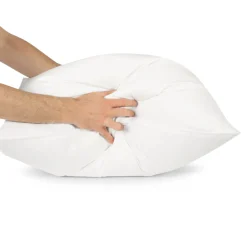 Helix Down & Feather Pillow