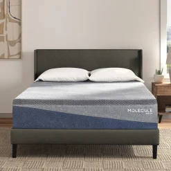 MOLECULE Reflex Embrace Plush Mattress