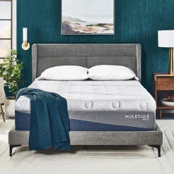 MOLECULE Reflex Hybrid Plush Mattress