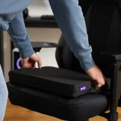Purple Double Seat Cushion