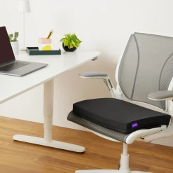 Purple Double Seat Cushion