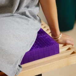 Purple Double Seat Cushion