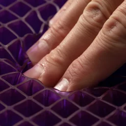 Purple Double Seat Cushion