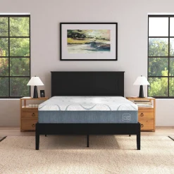 Rize Home Farmhouse Wood Platform Bed in Black