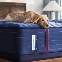 Sealy Posturepedic® Elite Albany Firm Mattress