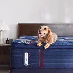 Sealy Posturepedic® Elite Albany Soft Euro Pillow Top Mattress