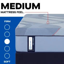 Sealy Posturepedic® Pro Dakota Ridge Hybrid Medium Mattress