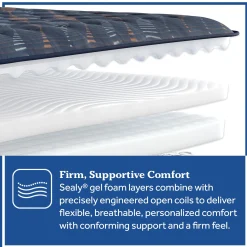 Sealy Special Edition Amberley Way Firm Mattress