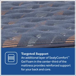 Sealy Special Edition Amberley Way Firm Mattress