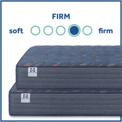 Sealy Special Edition Amberley Way Firm Mattress