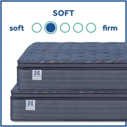Sealy Special Edition Amberley Way Soft Euro Pillow Top Mattress