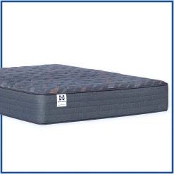 Sealy Special Edition Amberley Way Medium Mattress